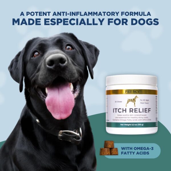 petscy dog itch relief chews with omega 3 fatty acids, epa & dha | itch relief for dogs nutritional support, immunity & muscles