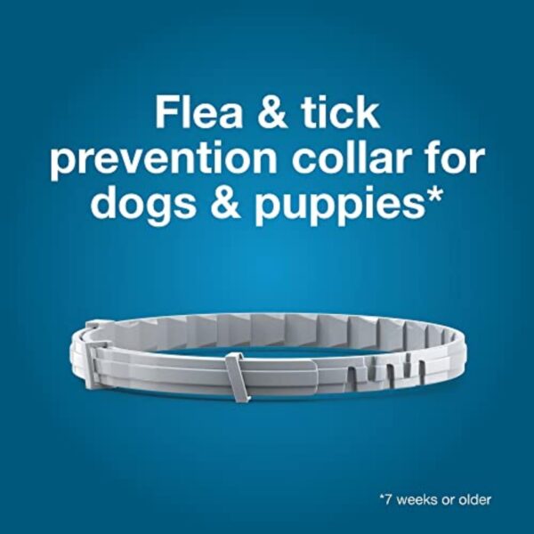 seresto large dog vet recommended flea & tick treatment & prevention collar for dogs