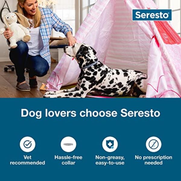 seresto large dog vet recommended flea & tick treatment & prevention collar for dogs