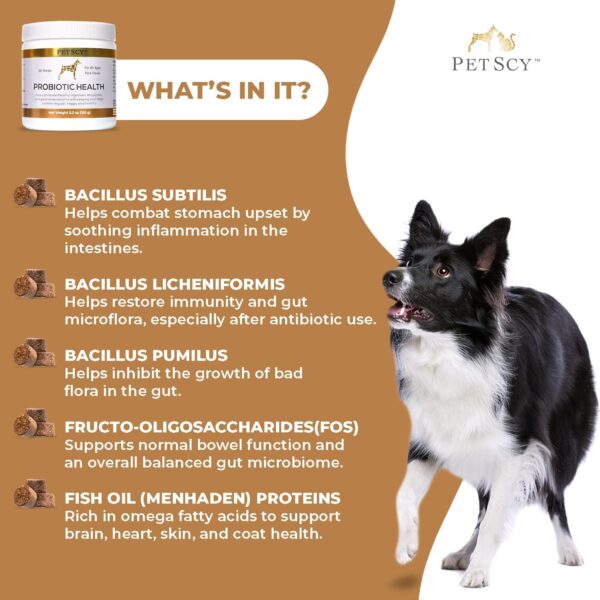 petscy – probiotic chews for dogs, probiotic for dogs of all ages, sizes & breeds