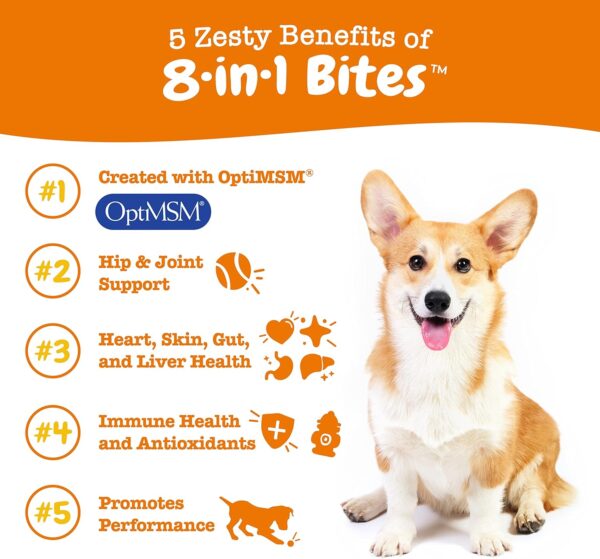zesty paws dog multivitamin, chewable dog vitamins and supplements